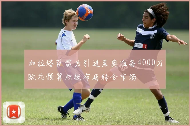 加拉塔萨雷为引进莱奥准备4000万欧元预算积极布局转会市场